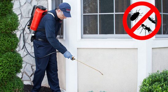 Türkeli Dezenfeksiyon böcek ilaçlama ve haşere kontrolü — ilaclama-tr.com